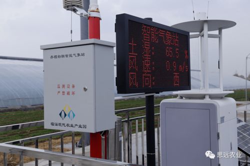 思遠標準化智慧農業服務模式獲國家級認可 樹立數字農業新標桿